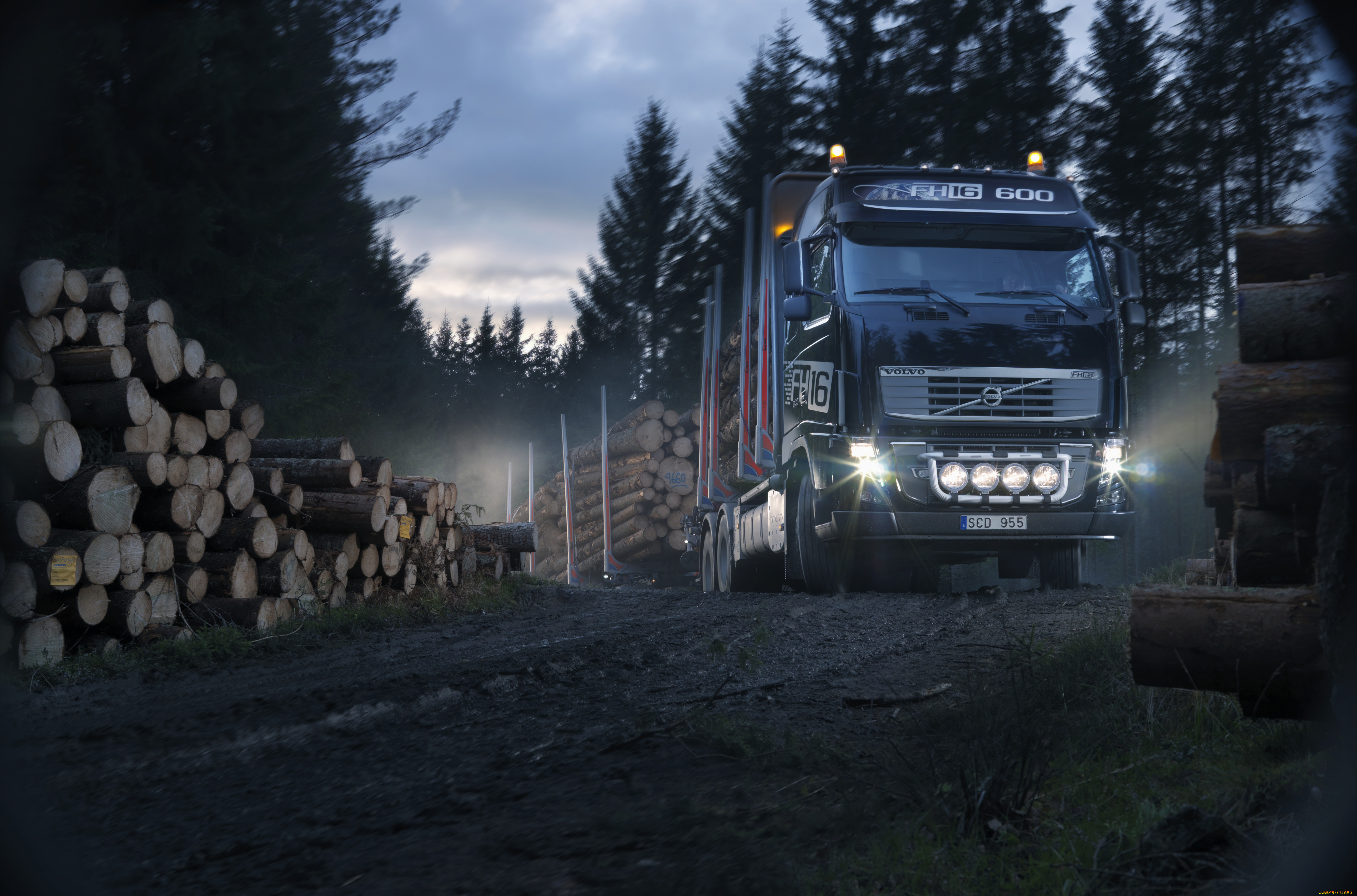 Грузовики лес. Volvo fh16 600. Volvo fh3 лесовоз. Вольво грузовик лесовоз. Вольво fh16 сортиментовоз.